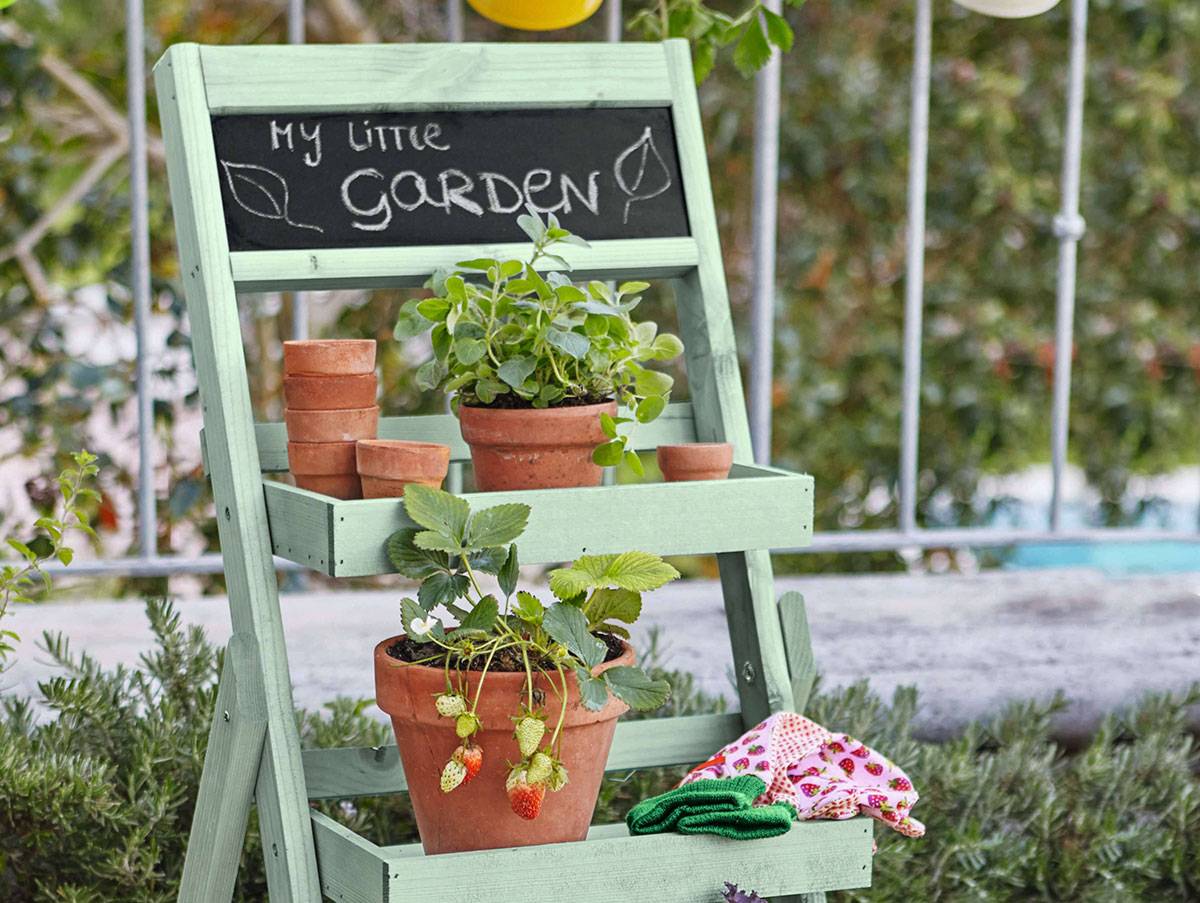 Erdbeeren pflanzen: Ab ins Beet!